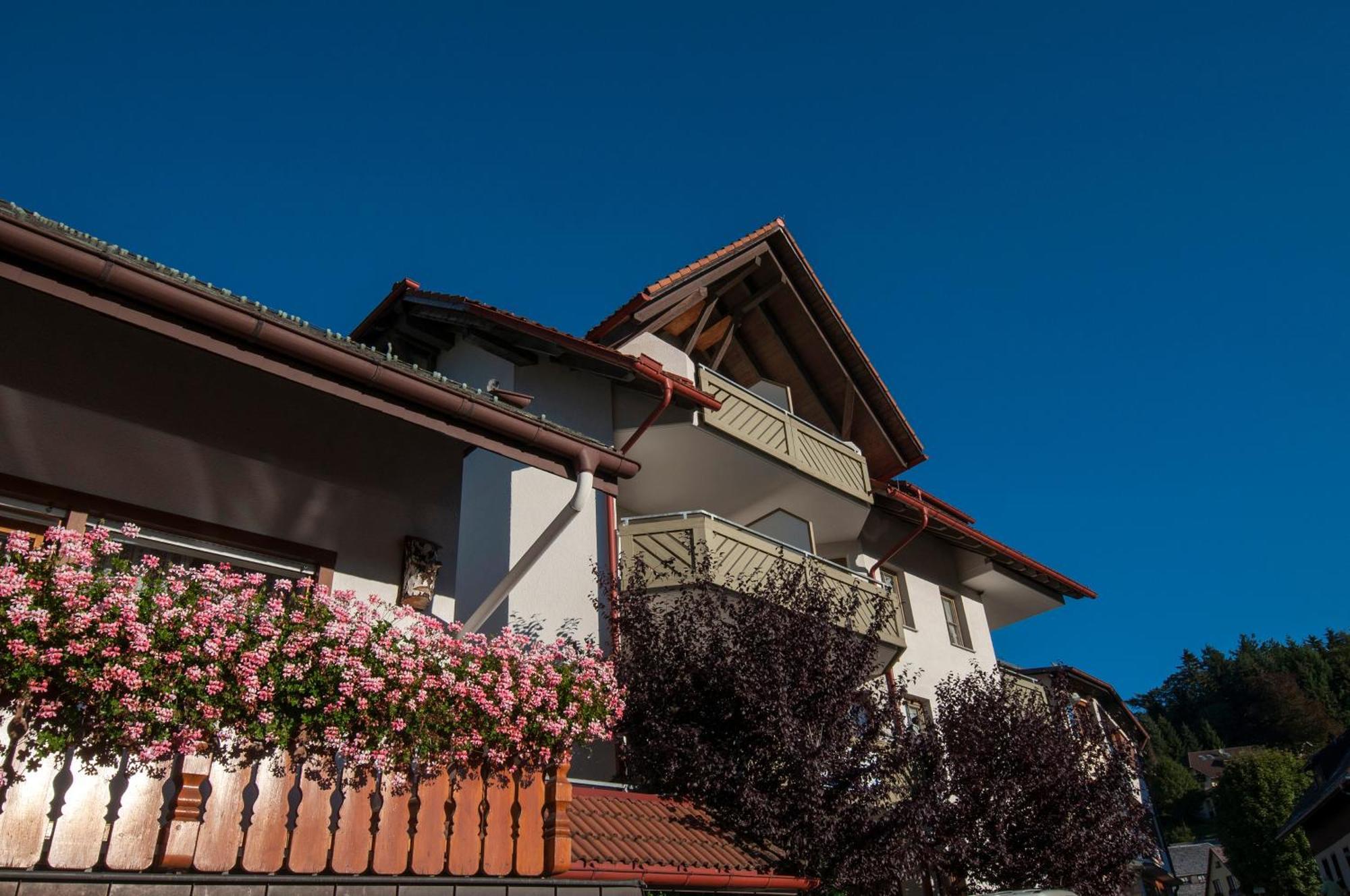 Apartment 06 - Ferienresidenz Roseneck, 2 Schlafzimmer, Mit Schwimmbad In Todtnauberg Bei Feldberg Eksteriør bilde