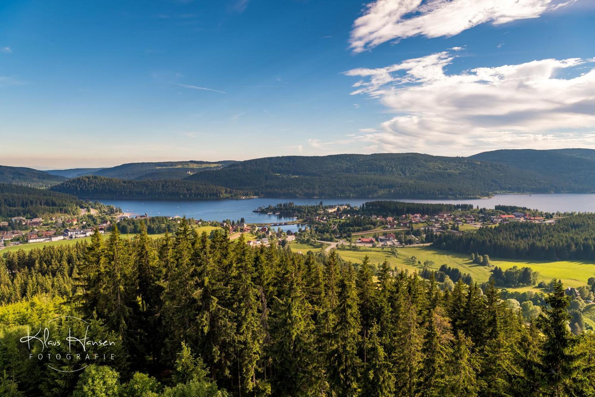 Apartment 06 - Ferienresidenz Roseneck, 2 Schlafzimmer, Mit Schwimmbad In Todtnauberg Bei Feldberg Eksteriør bilde